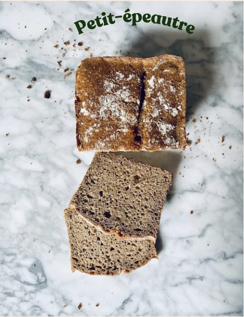 Pain petit epautre